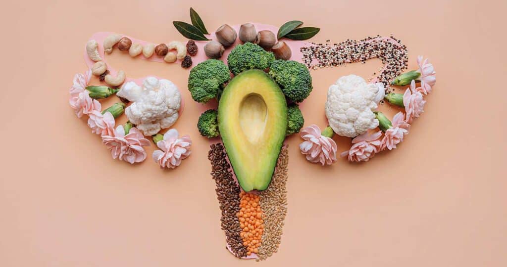Comida colocada representando el aparato reproductor femenino