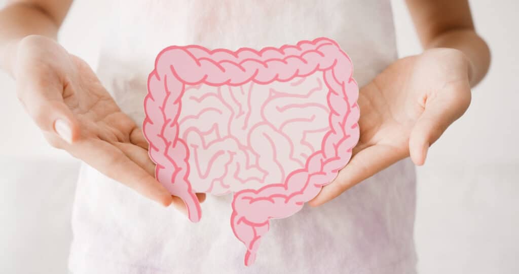 Persona sujetando la ilustración de un intestino para hablar de microbiota