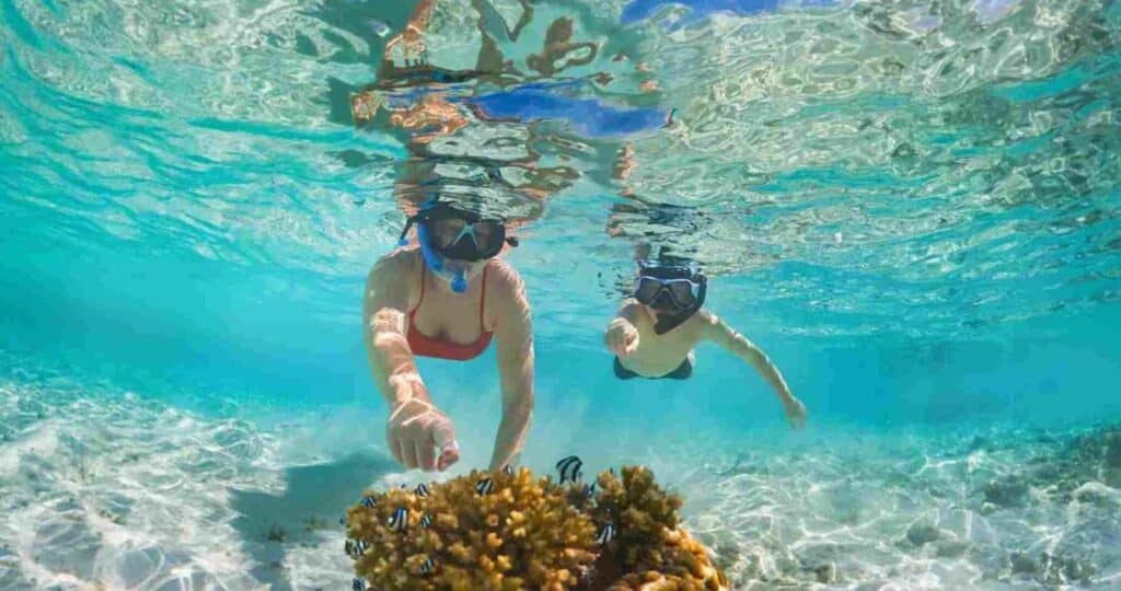 Dos personas haciendo snorkel con máscara y tubo observando un coral con peces en aguas cristalinas